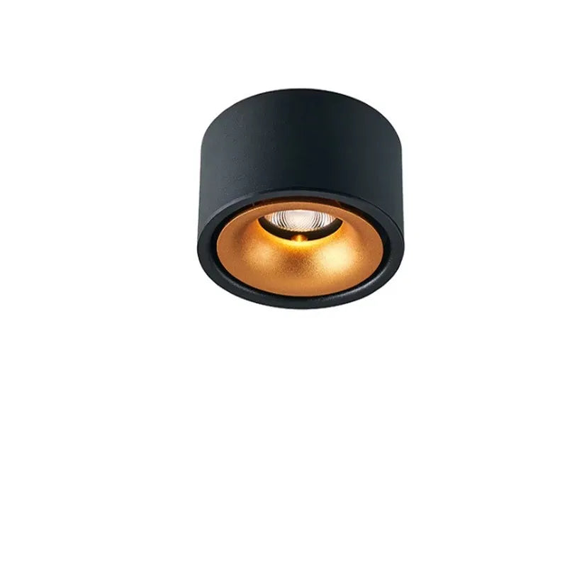 Anti-glare LED Downlight Ceiling Lamp