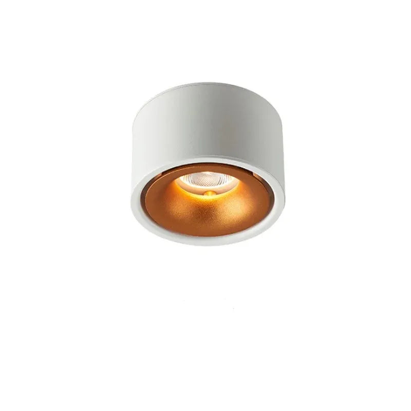 Anti-glare LED Downlight Ceiling Lamp