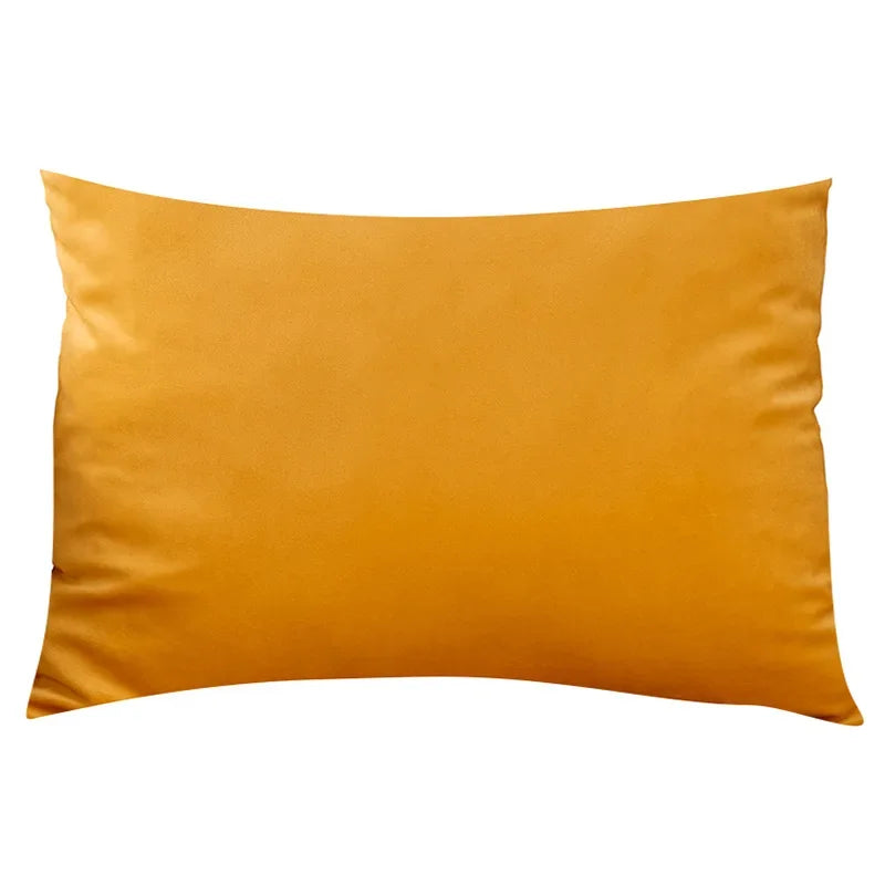 Soft Velvet Pillow Cover for Modern Home Decor