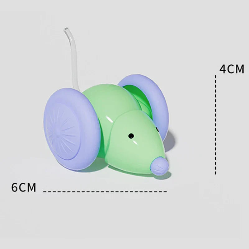 Fun Electronic Pet Mouse Toy