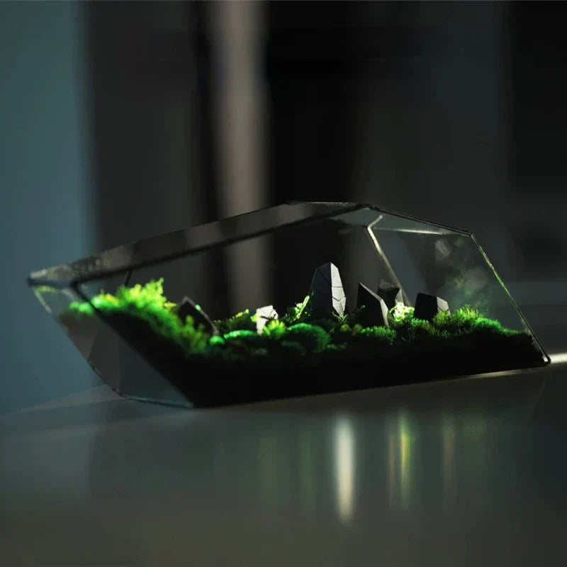 Mini Glass Succulent Terrarium Planter Vase