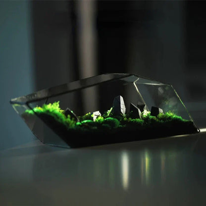 Mini Glass Succulent Terrarium Planter Vase