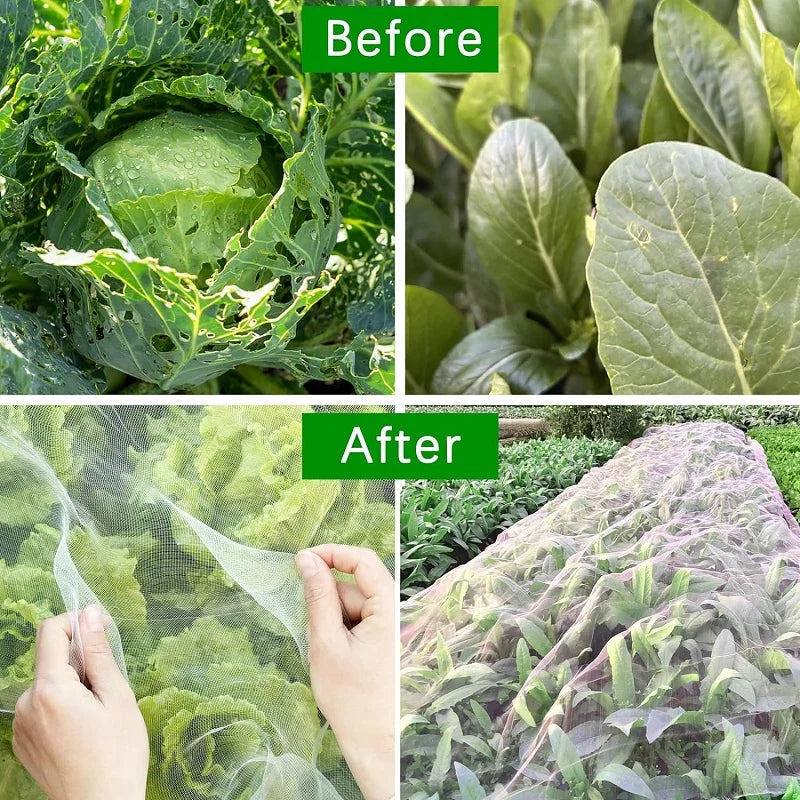 Durable Garden Netting for Pest and Bird Control