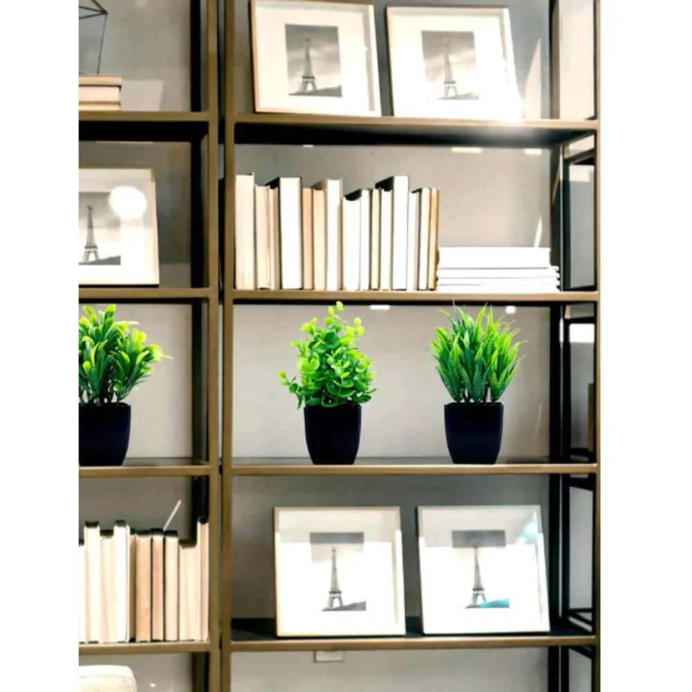 Small Realistic Eucalyptus Plant in Black Planter