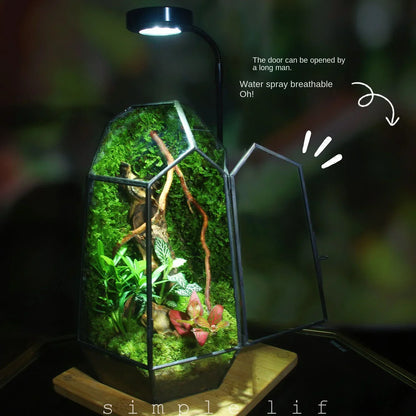 Mini Indoor Glass Plant Terrarium
