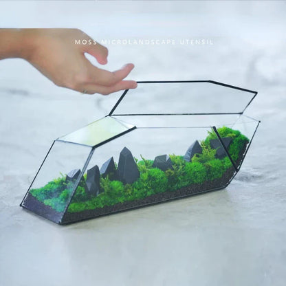 Mini Glass Succulent Terrarium Planter Vase