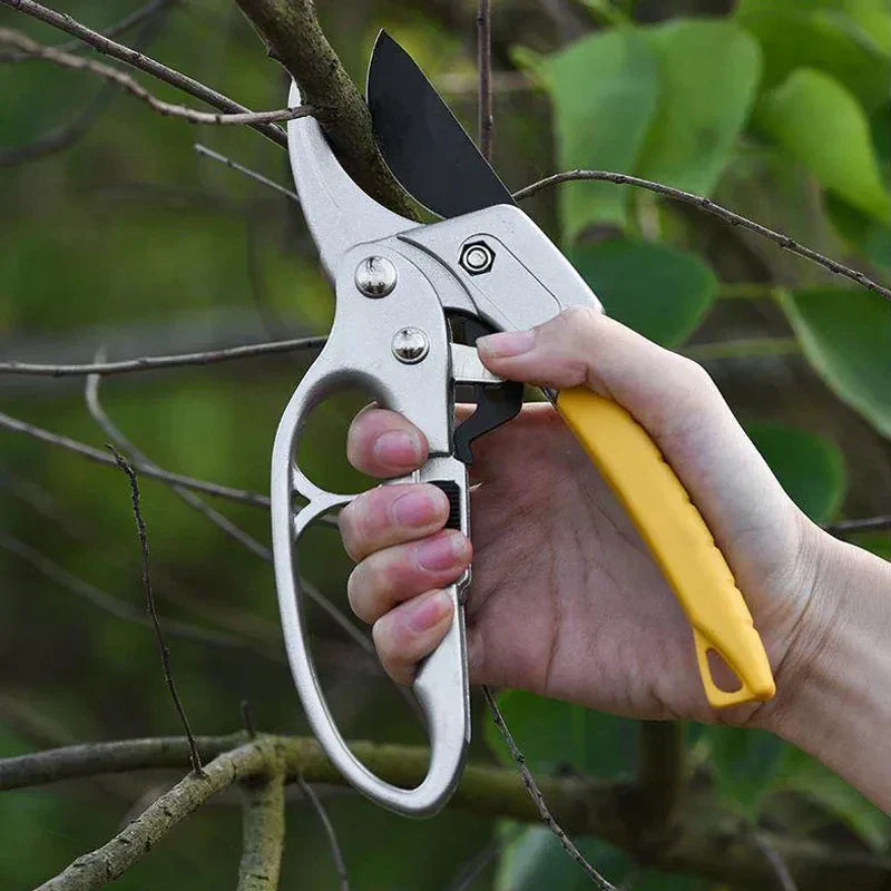 Yeezlab | Small Branch Cutting Garden Pruning Shears