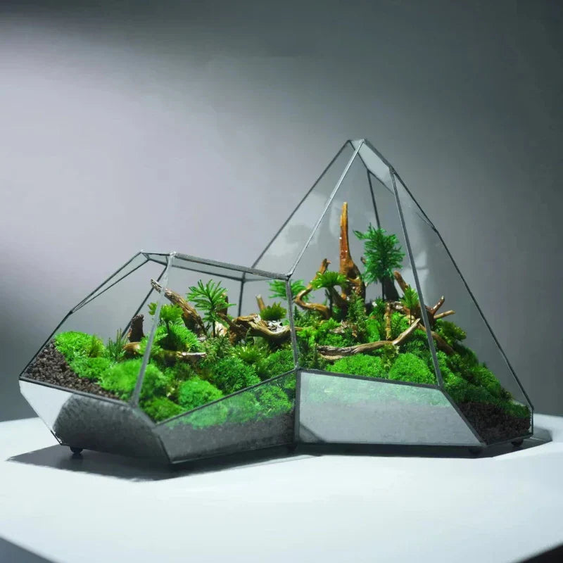 Mini Glass Succulent Terrarium Planter Vase