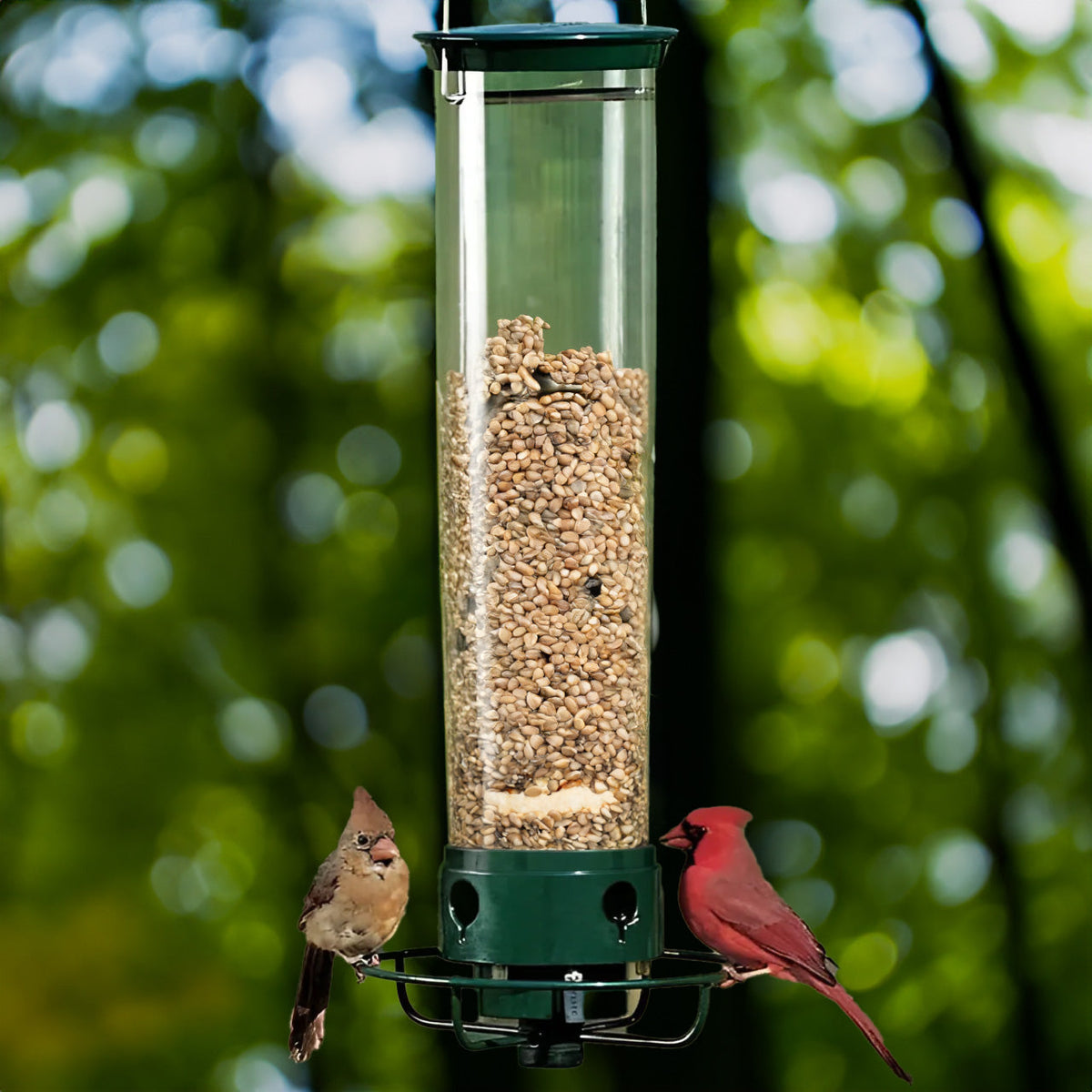 Squirrel Proof Bird Feeder with 4 Port Spin Tray - Yeezlab