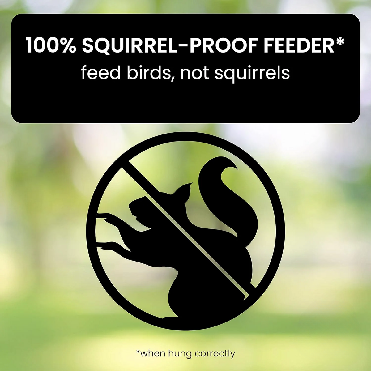 Squirrel Proof Bird Feeder with 4 Port Spin Tray