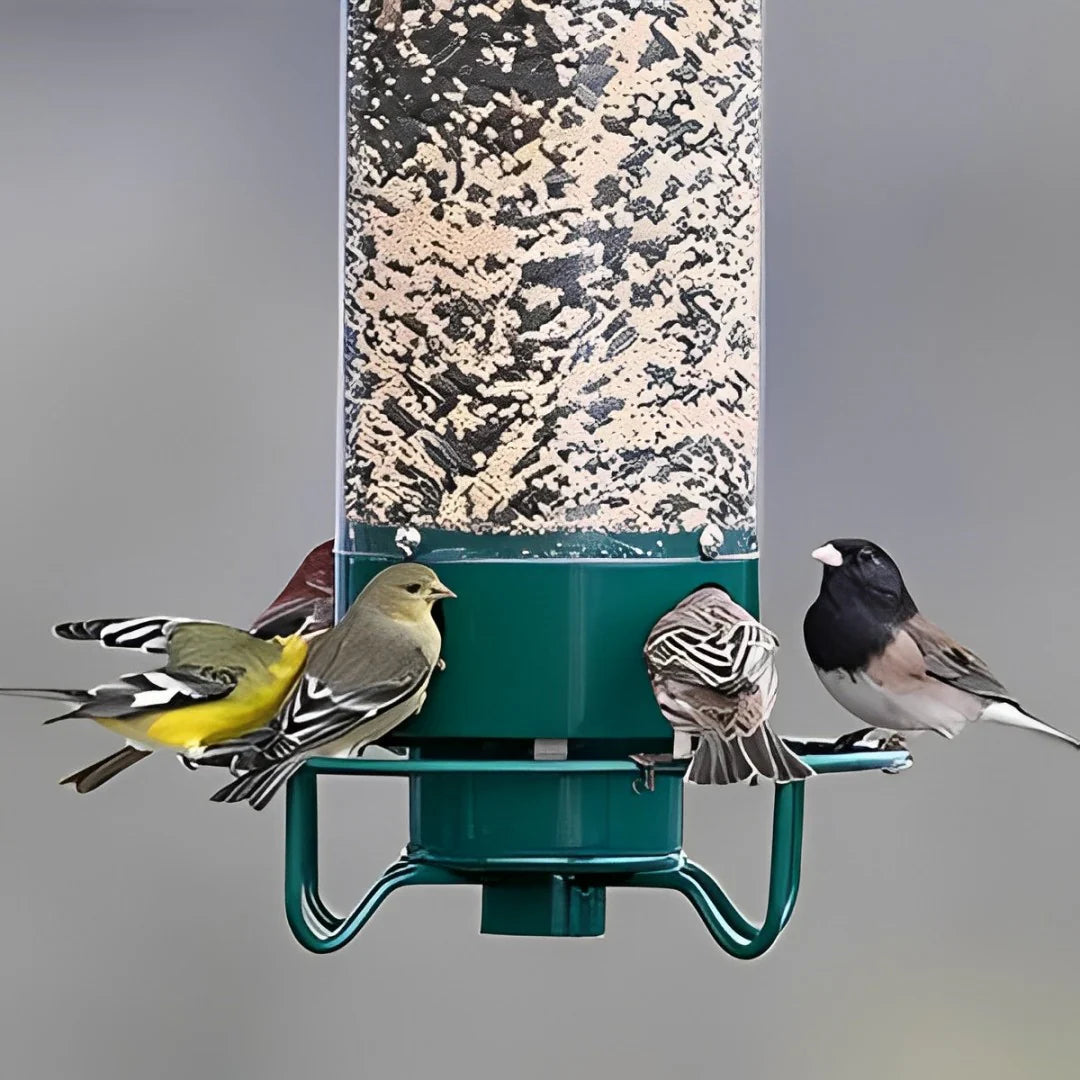 Squirrel Proof Bird Feeder with 4 Port Spin Tray