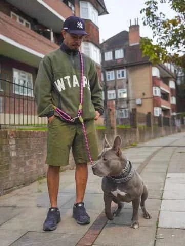 Running Dog Leash with Hands-Free Harness