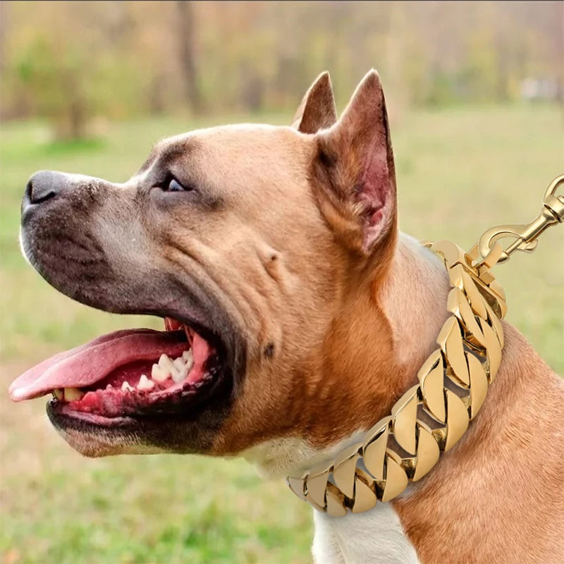 Strong Metal Dog Collar - Durable Stainless Steel Necklace