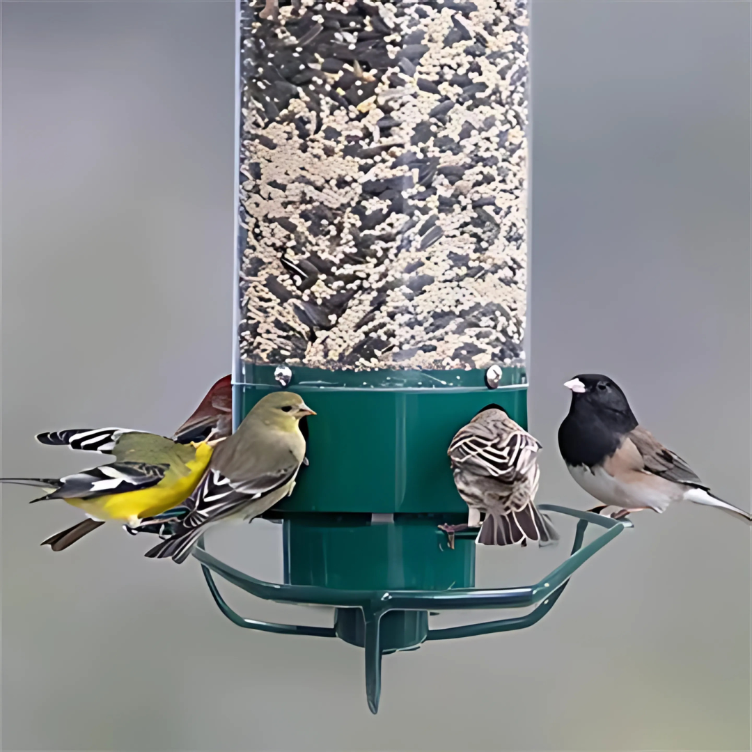 Wild Bird Feeder Hanging Squirrel Resistant Seed Feeder