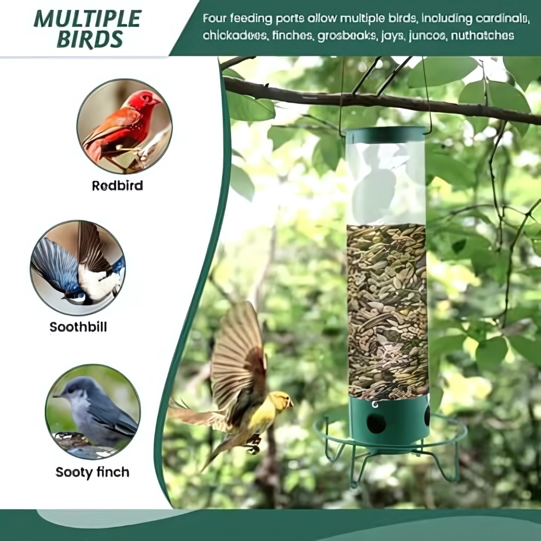 Wild Bird Feeder Hanging Squirrel Resistant Seed Feeder
