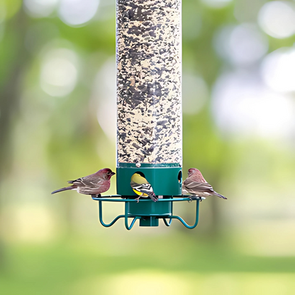 Wild Bird Feeder Hanging Squirrel Resistant Seed Feeder - Yeezlab
