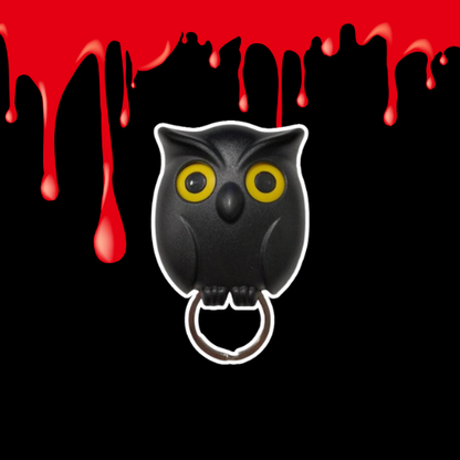 Fun Owl Key Organizer