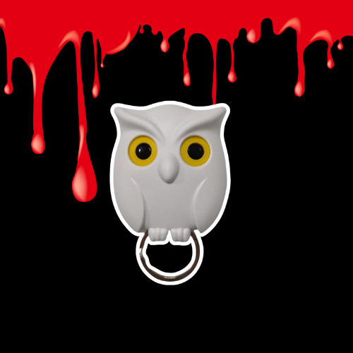 Fun Owl Key Organizer - Yeezlab