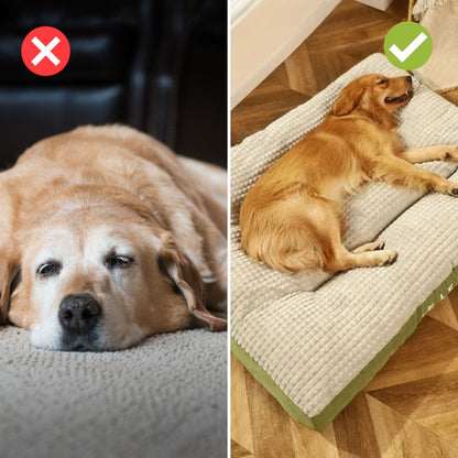 Cozy Pet Bed for Calming Sleep - Yeezlab