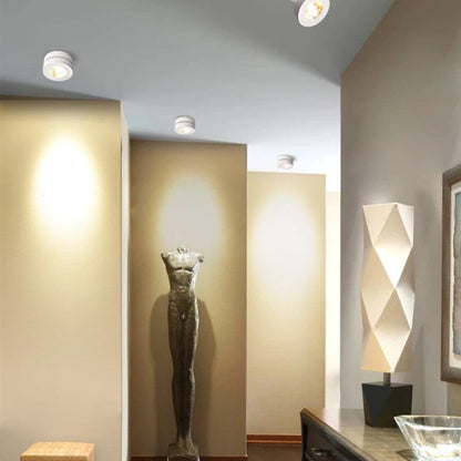 Modern Metal Ceiling Light Spot