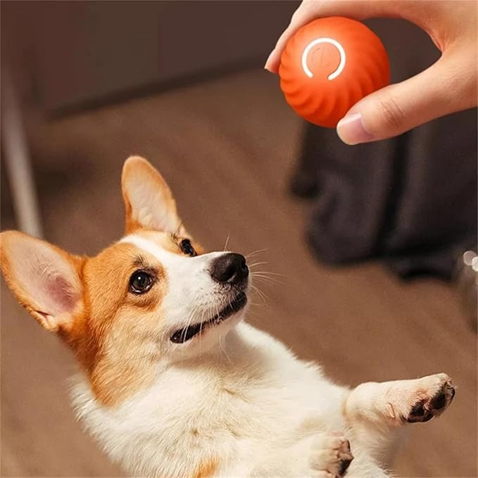 Yeezlab Interactive Dog Toy - Automatic Rolling Ball - Yeezlab