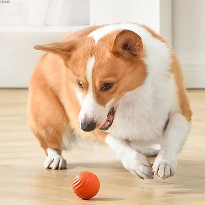 Yeezlab Interactive Dog Toy - Automatic Rolling Ball