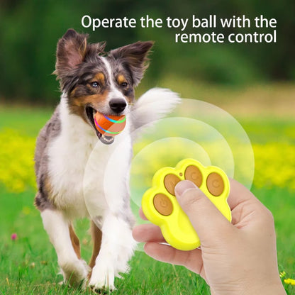 Durable Interactive Pet Toy Ball