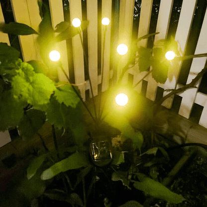 Colorful Outdoor Solar String Lights