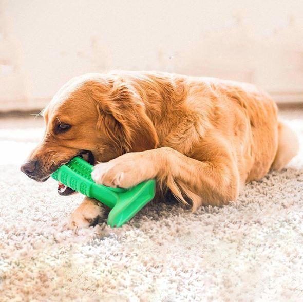 Pet Dental Care Toothbrush Set