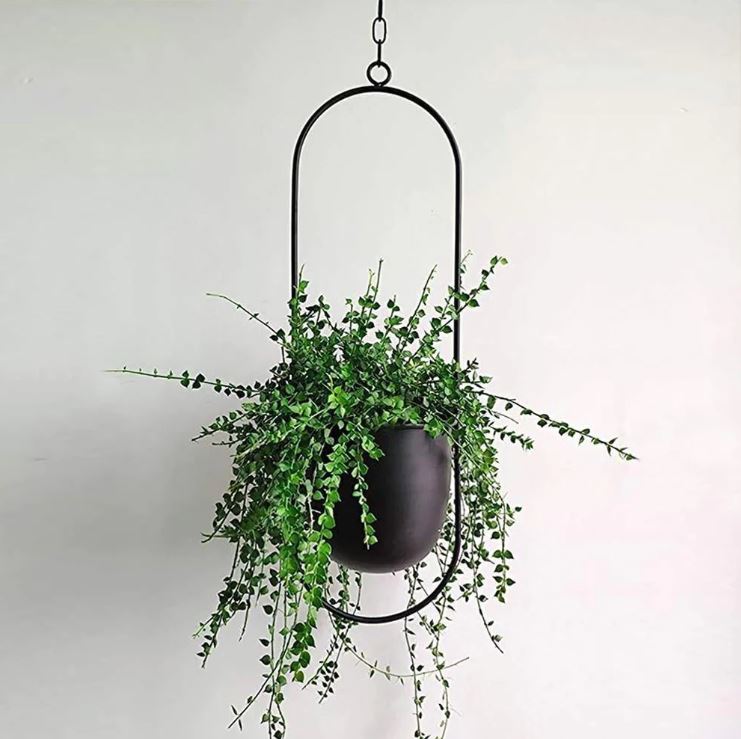 Stylish Macrame Plant Hangers for Modern Homes