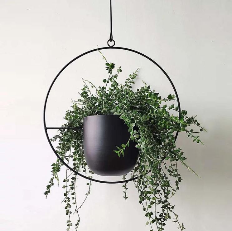 Stylish Macrame Plant Hangers for Modern Homes