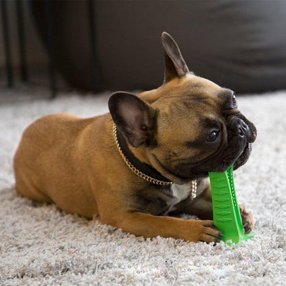 Pet Dental Care Toothbrush Set