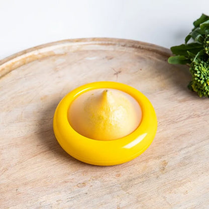 Fresh Food Saver Container