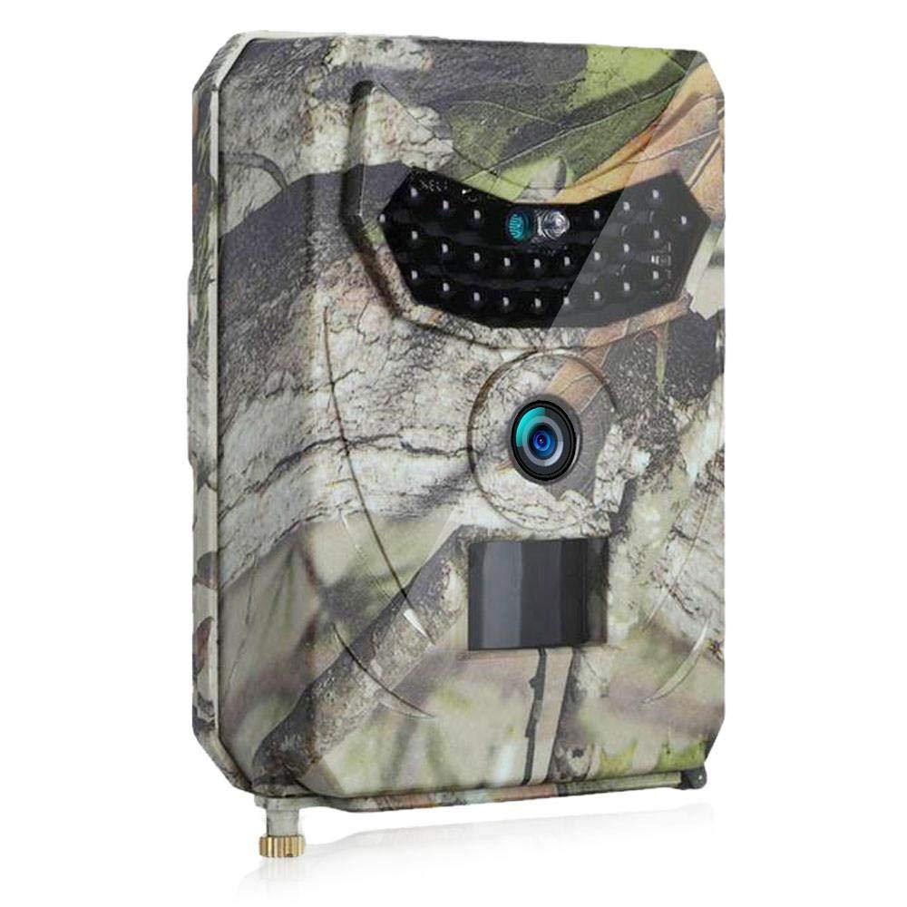 HD Wildlife Trail Camera