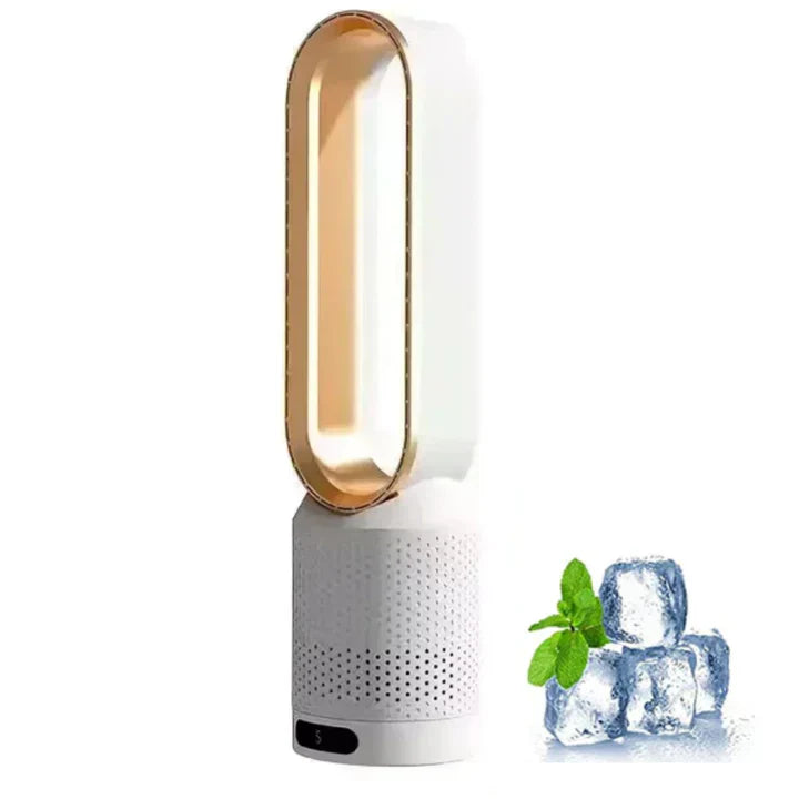 Compact Rechargeable Fan with Air Cleaner and Remote