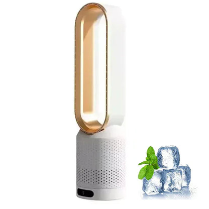 Compact Rechargeable Fan with Air Cleaner and Remote
