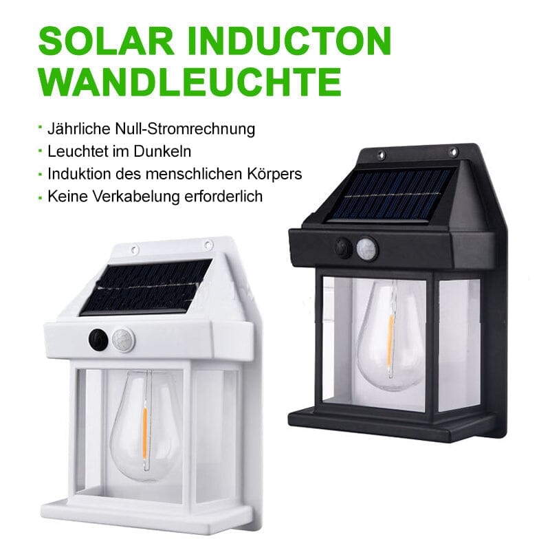 Outdoor Solar Powered LED Wall Lamp