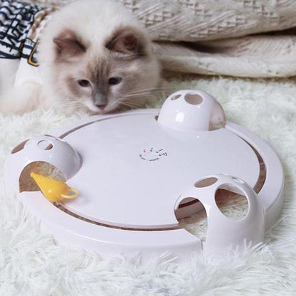 Fun Interactive Cat Mouse Toy