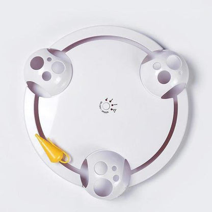 Fun Interactive Cat Mouse Toy