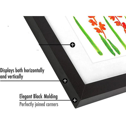 Unique Artwork Display Frame