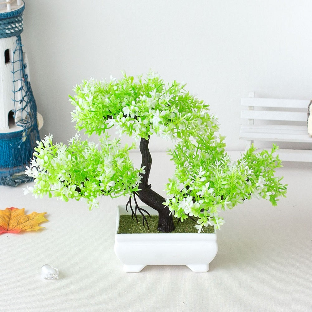 Mini Indoor Bonsai Tree