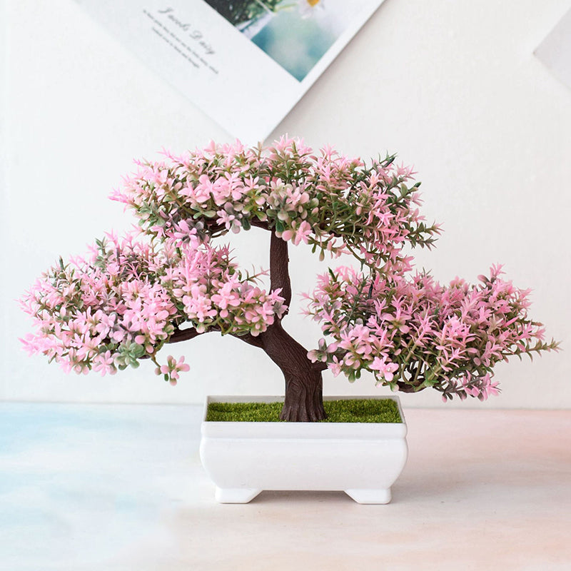 Mini Indoor Bonsai Tree - Yeezlab
