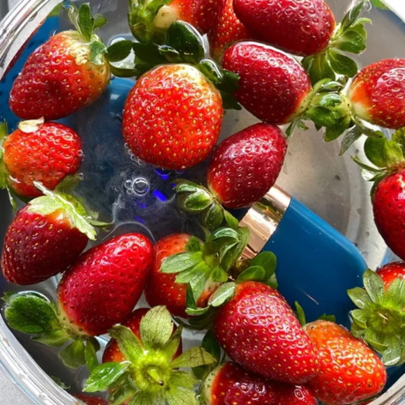 Natural Food Purifier - Removes Bacteria and Pesticides Quickly