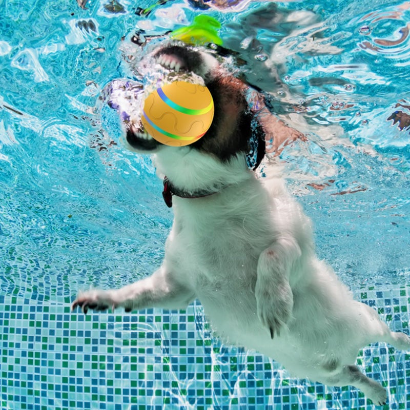 Durable Interactive Pet Toy Ball