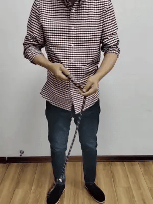Running Dog Leash with Hands-Free Harness