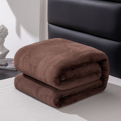 Soft Gray Plush Blanket for All Seasons