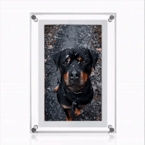Modern Digital Picture Frame