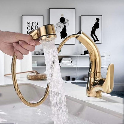 360 Degree Extendable Shower Faucet