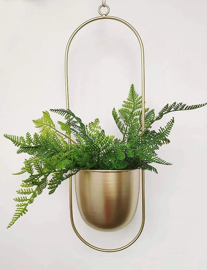 Stylish Macrame Plant Hangers for Modern Homes