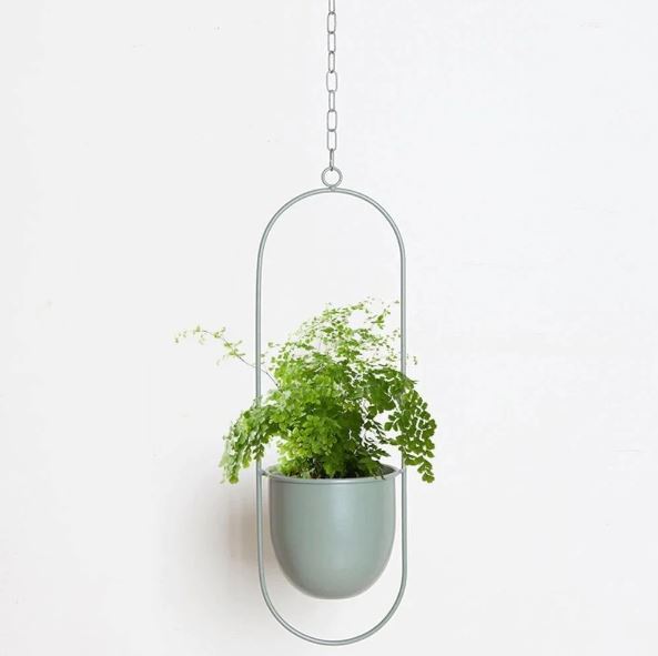 Stylish Macrame Plant Hangers for Modern Homes